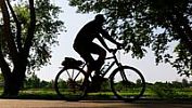 Tipy na víkend: Pejskaři se sejdou na Kampě, cyklisté projedou kraj rybníků