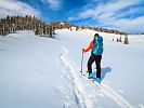 Skialp Na Bílé v Beskydech - půjčovna a kurzy skialpinismu