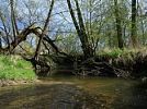 Meandry Chvalšinského potoka u Kájova