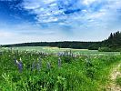 Podbrdský labyrint – zážitkové turistické putování křížem krážem krajinou podhůří Brd