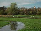 Ptačí park Josefovské louky 