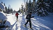 Na české hory přijely o víkendu tisíce lyžařů, místy nasněžilo i půl metru