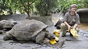 Pražská zoo zve na Dýňové hody a cvičení s dravcem a lachtany