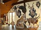 Africké muzeum Safari v Holčovicích