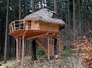 Tree House U jezevce