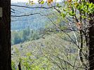 Vyhlídka Bellaria u Hradce nad Moravicí