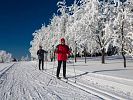 Krkonoše na běžkách: okruhy v Pasekách nad Jizerou - na pomezí Krkonoš a Jizerek