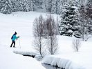 Šumavou na běžkách – ze Srní k Tříjezerní slati