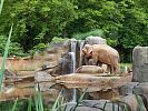 Údolí slonů v pražské zoo