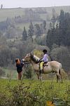 Vyjížďky na koni v Dolní Rožínce
