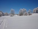 Vysočina na běžkách: ze Zubří do Žďáru