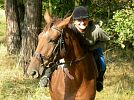 Kurzy jízdy na koni ve stáji Newpot v Dolních Domaslavicích