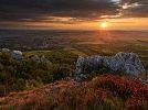 Stolová hora na Pálavě - nejbohatší lokalita šalvěje etiopské v Česku