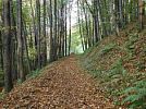 Naučná stezka Bukový chodník v Hradci nad Moravicí