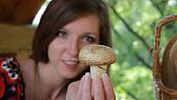 Tipy na víkend: Na Vyšehradě se sejdou vegetariáni, v Mariánských Lázních houbaři