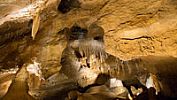 V prastarých útrobách české jeskyně se našly kosti makaka