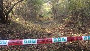 Ženu s intelektem dítěte vylákal na Chebsku do lesa a znásilnil. Odsedí si tři roky