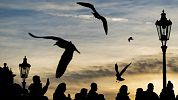 Padl rekord. Meteorologové naměřili 18,2 °C