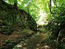 Bertino údolí v Ústí nad Labem