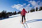 Skialpinistické trasy v okolí šumavského Špičáku