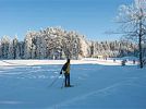 Šumava na běžkách: běžkařské okruhy u Lipna