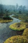 Naučná stezka Swamp