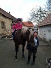 Jezdecká stáj Fenix - jízdy na koni v Praze Cholupicích
