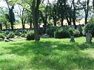 Židovský hřbitov v Prčicích