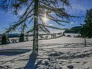 Šumava na běžkách – lyžování v okolí Frymburku a Lipna