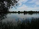 Přírodní rezervace Velký Pavlovický rybník 