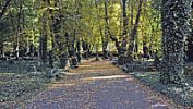 Malostranský hřbitov na Smíchově je klenot, o němž nevědí ani rodilí Pražané