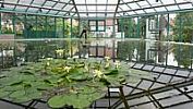 Botanická zahrada v Liberci otevřela pavilón leknínů