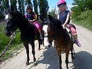 Pony Park Holubice a minizoo